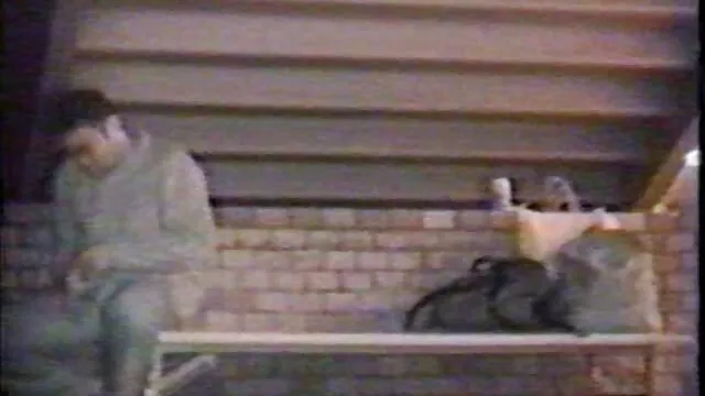 Mature and skilled porn star Caroline 8212; the dream estelle clark porno of any male