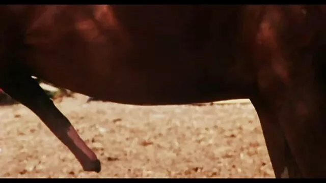 Wife film sex anal is crazy about anal sex